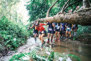 BIB: 
                            <button type="button" onclick="openModal(25473048)" class="btn btn-primary btn-sm float-right btn-popup" data-toggle="modal" data-target=".modal-high-quality">
                        <i class="fas fa-shopping-cart"></i> Add to Cart
                    </button>
                                            <button type="button" onclick="isThisMe(25473048, true)" class="btn btn-success btn-sm float-right btn-popup btn-isme hidden" data-toggle="tooltip" data-placement="bottom" title="นี่คือรูปของคุณใช่ไหม คลิกที่นี่เพื่อเอาเข้าอัลบั้ม">
                        <i class="fas fa-plus"></i> Add to album
                    </button>
                    <button type="button" onclick="isThisMe(25473048, false)" class="btn btn-warning btn-sm float-right btn-popup btn-isnotme hidden">
                        <i class="fas fa-ban"></i> Remove from album
                    </button>